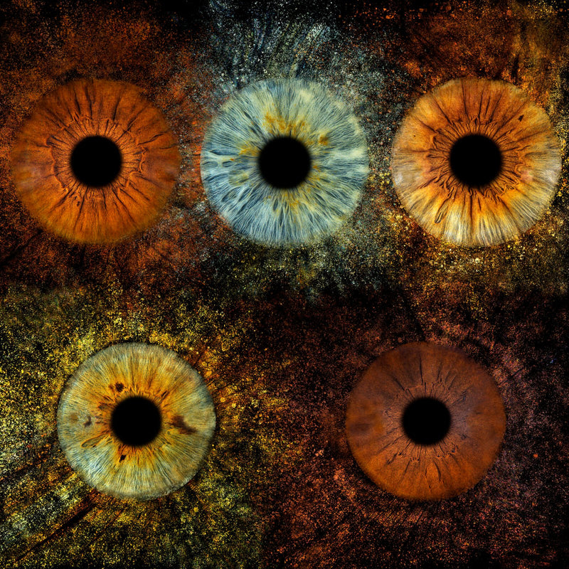 Photo d'iris effet explosion